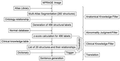 Automated Generation of Radiologic Descriptions on Brain Volume Changes From T1-Weighted MR Images: Initial Assessment of Feasibility